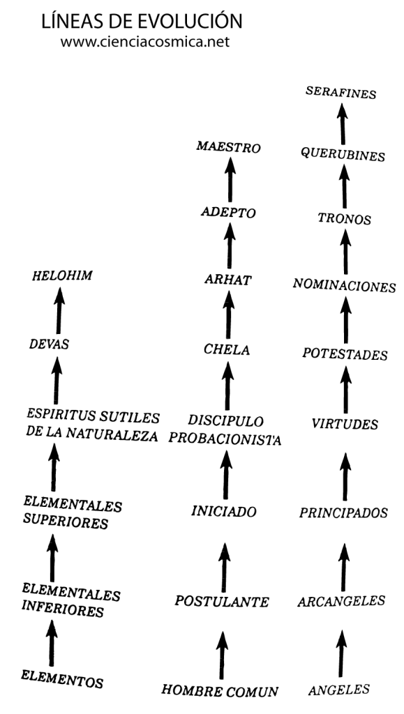 Líneas-de-evolición