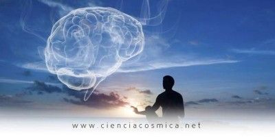 La ciencia comprobó que quien practica Meditación tiene más materia gris